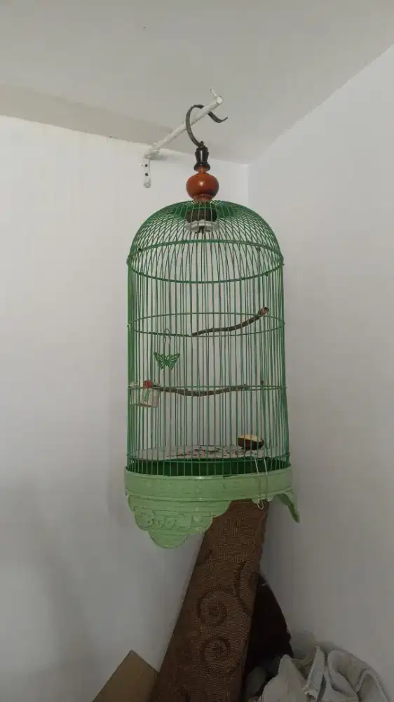 Jual sangkar lobet bekas