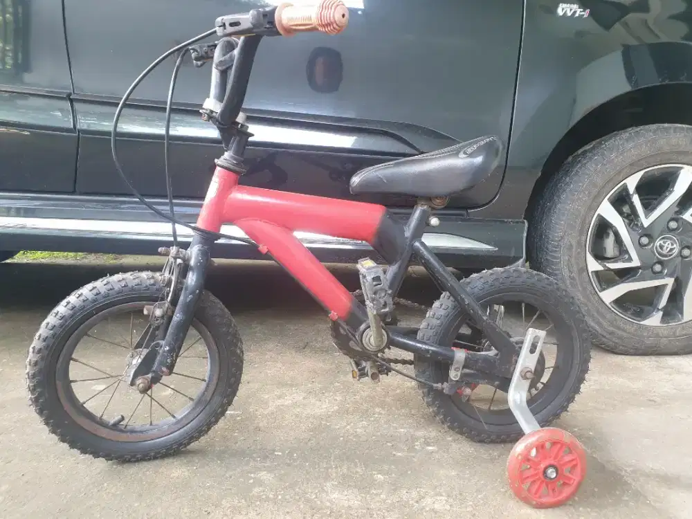 Sepeda Anak wimcycle