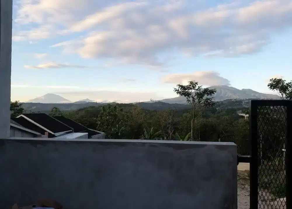 Kavling Premium Murah Semenit Ke UNDIP