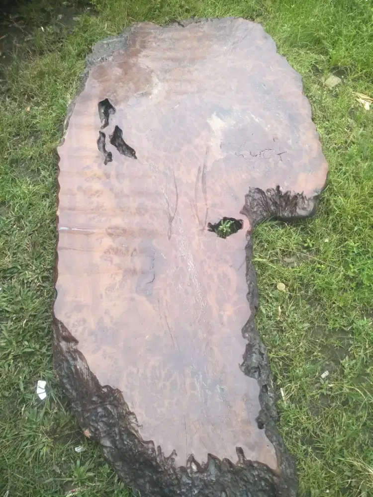 Meja antic dari batang akar usia tua