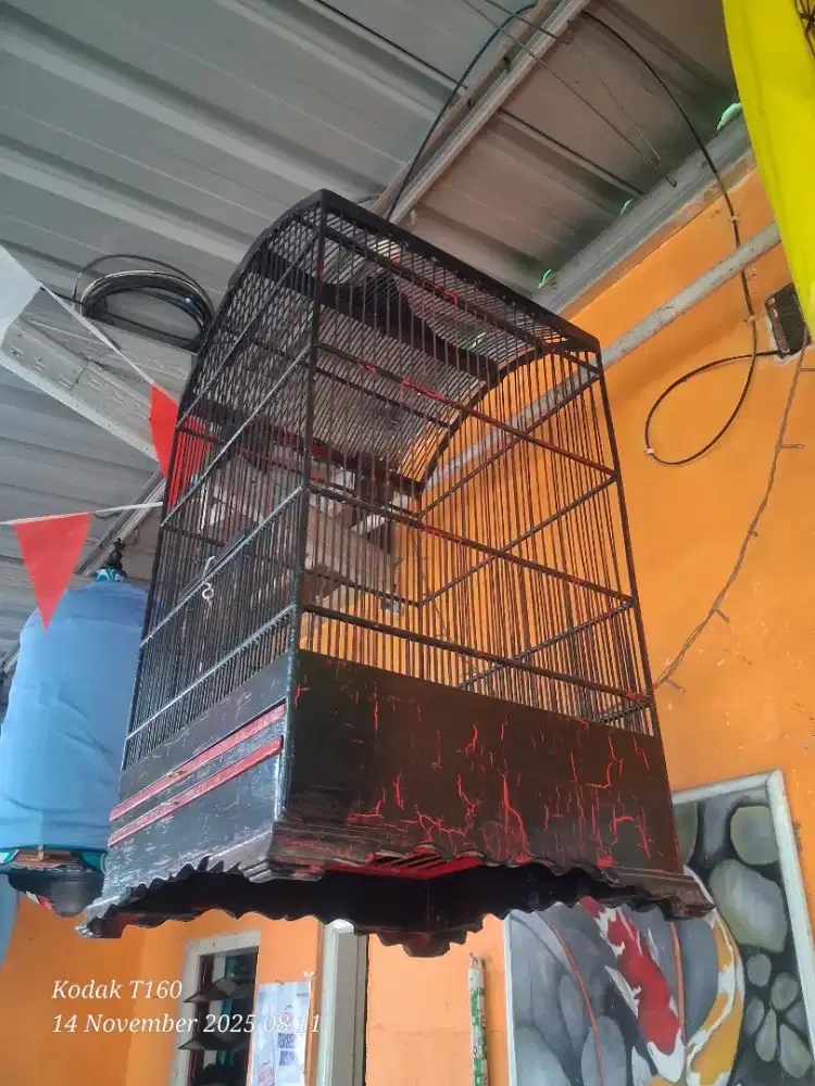 Sangkar burung besar