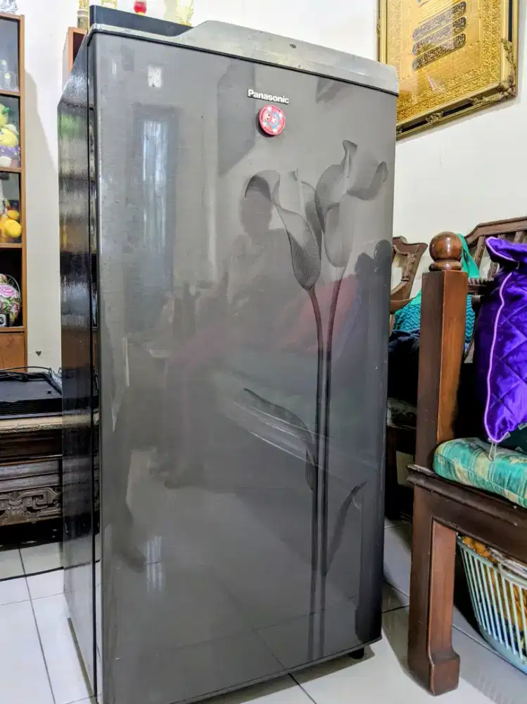 Kulkas Panasonic 1 pintu