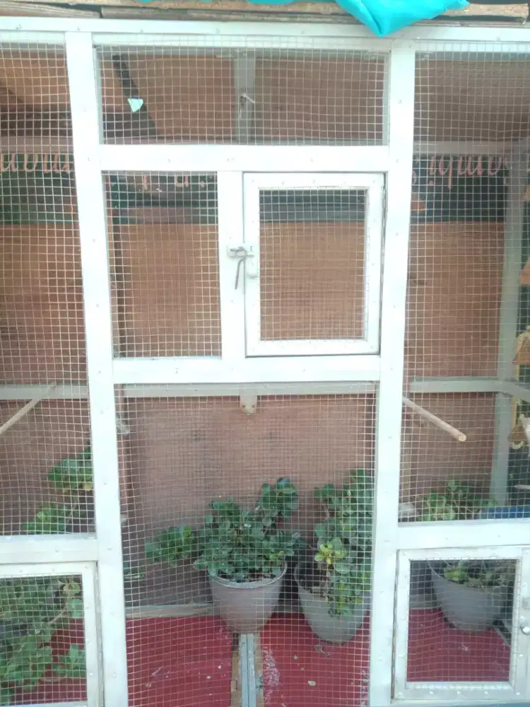 Jual sangkar ukuran besar cocok buat ternak maupun  tenggaran