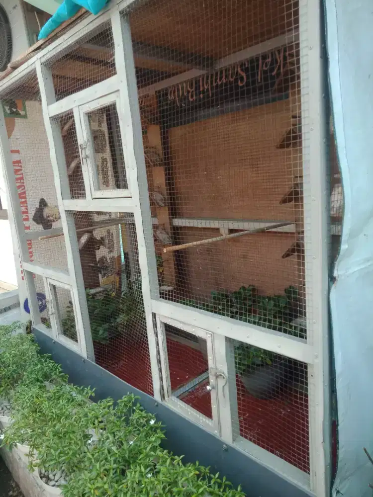 Jual sangkar ukuran besar cocok buat ternak maupun  tenggaran