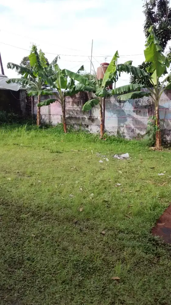 Di jual rumah hrg 300jt sangat strategis