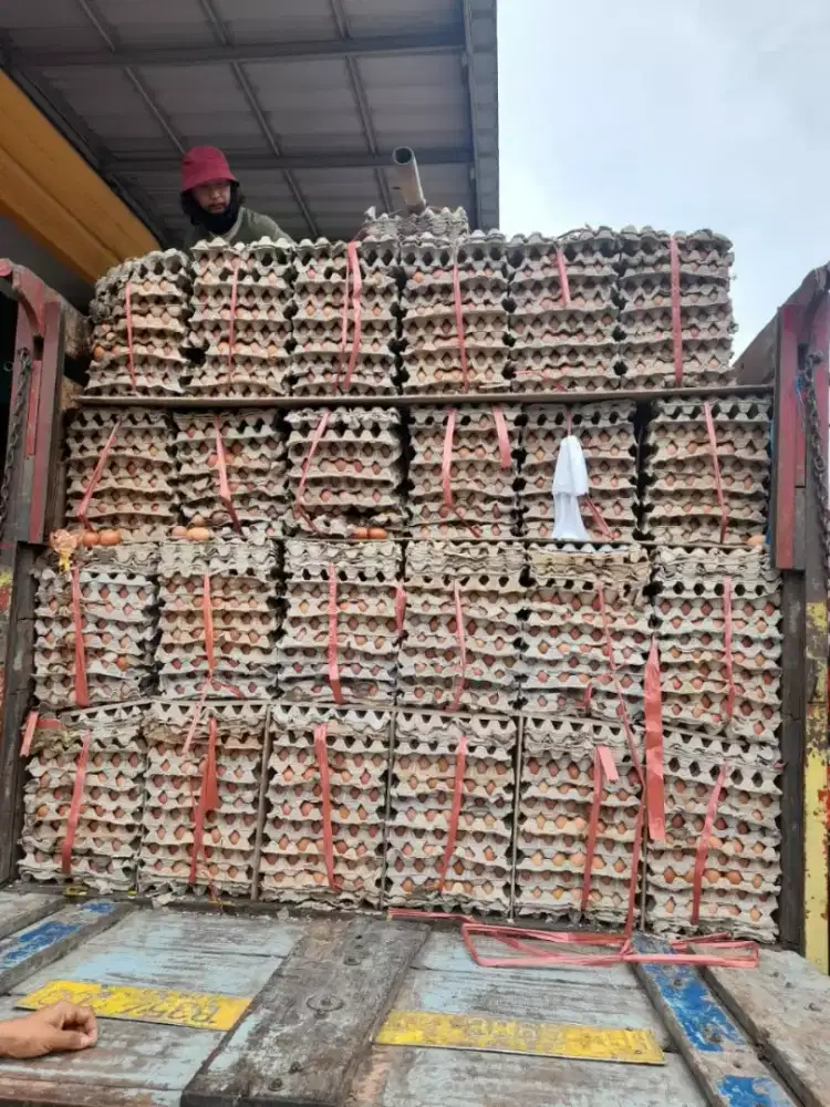 Asisten rumah tangga