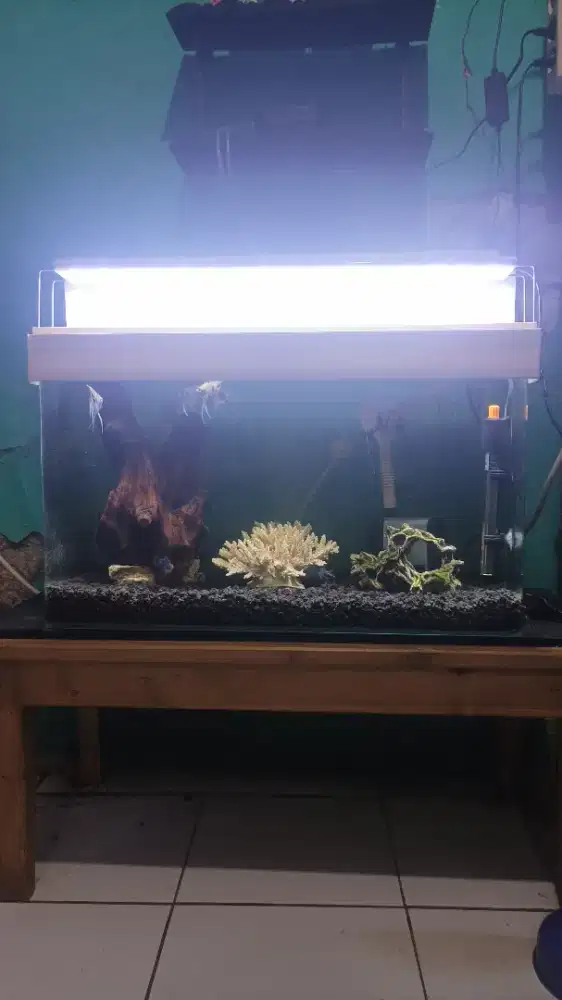 Aquarium komplit plus-plus