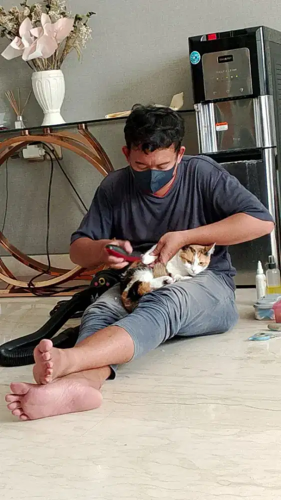 Grooming cat&doggy panggilan se-jabodetabek