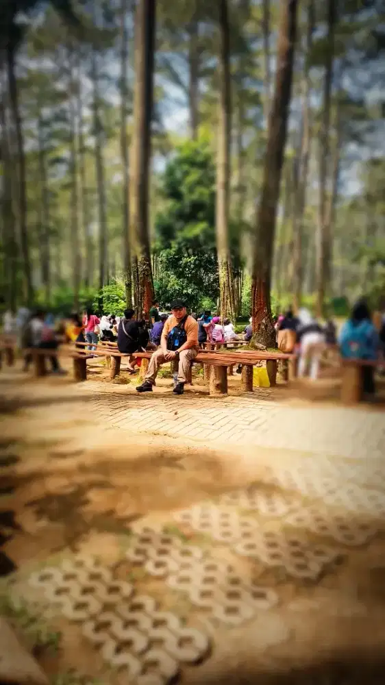 Mencari Pekerjaan Pgalaman Driver antar Jemput mobil/Motor, Sales.