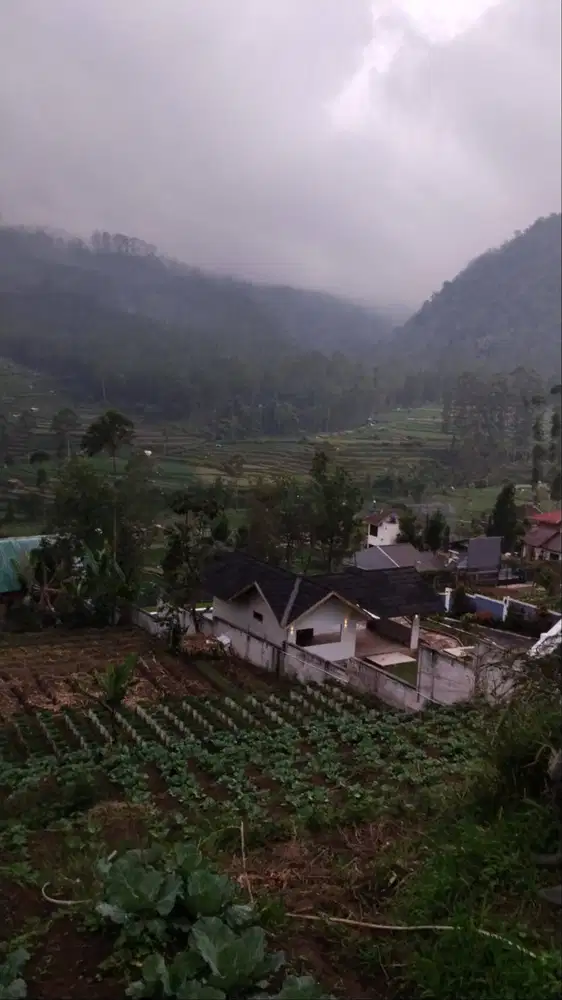 Tanah Dijual ciwidey