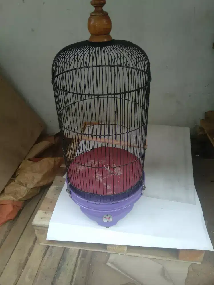 Jual cepet aja kandang burung lack bert