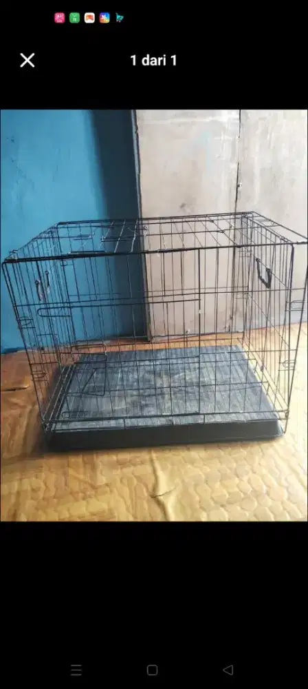 Kandang kucing layak pakai