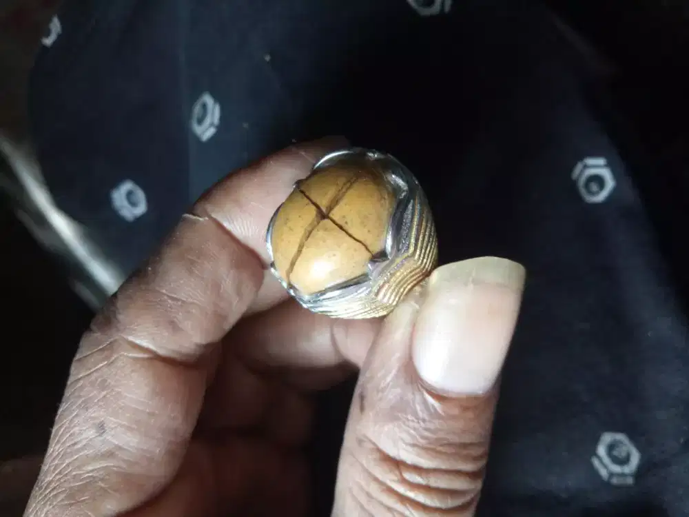 Batu tapak jalak kristal