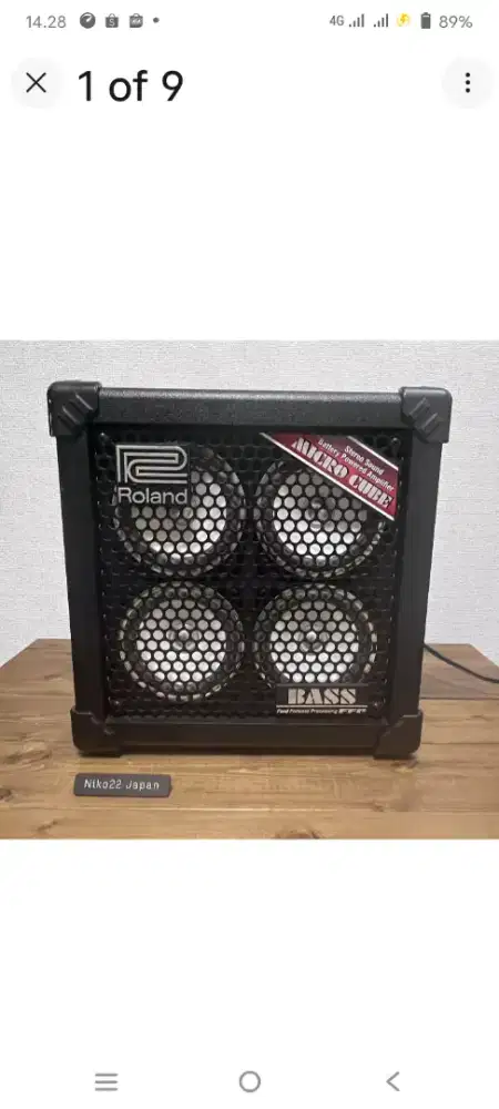 Amply Roland cube rx