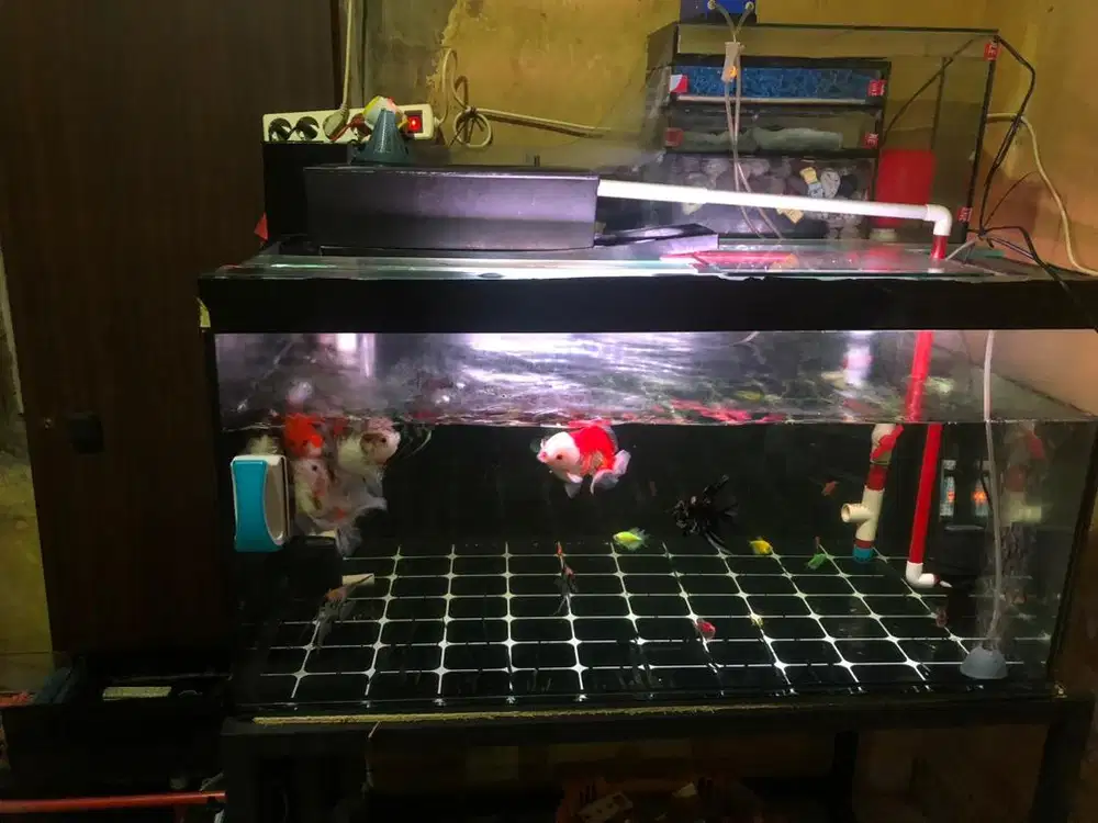 DI JUAL AQURIUM + IKAN