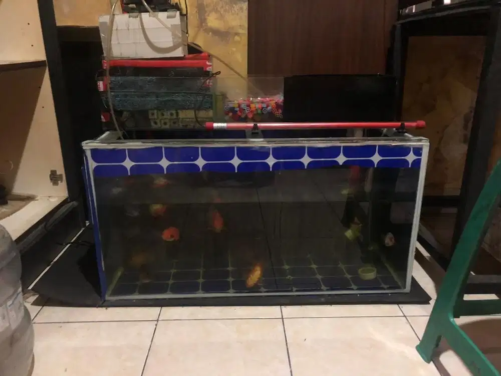 Jual aquarium + ikan