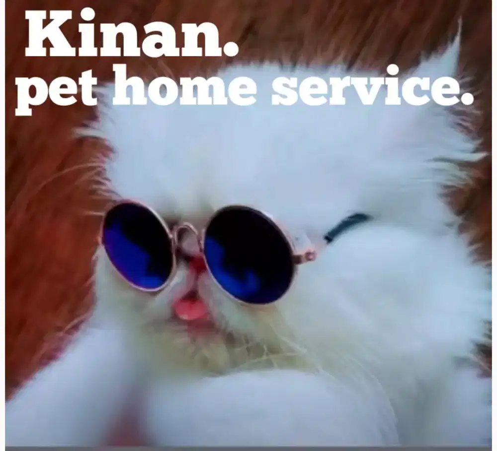 Pet gromer panggilan