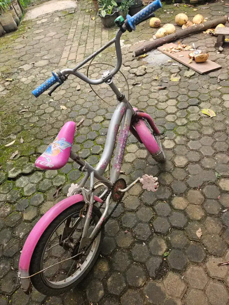 Sepeda family anak2 umur 5sd9 thn