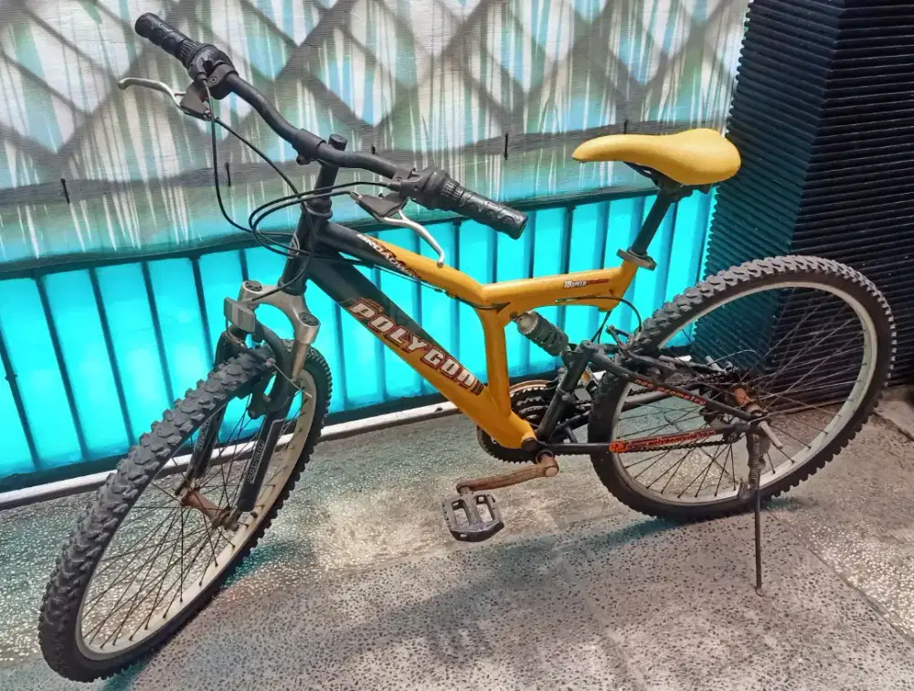 Dijual sepeda Polygon Broadway