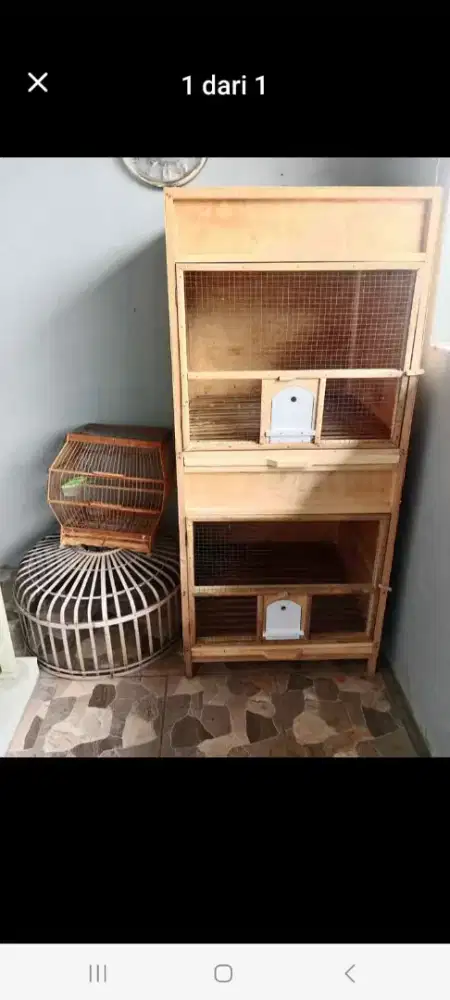 Kandang kurungan burung merpati