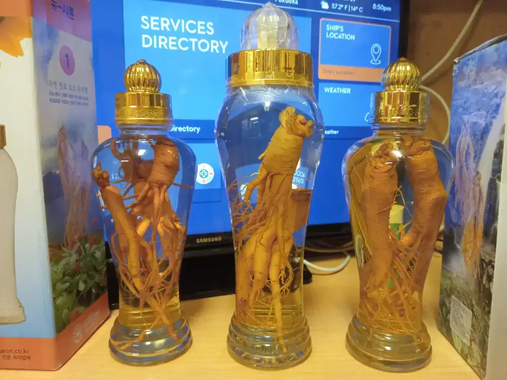 Dijual ginseng asli korea