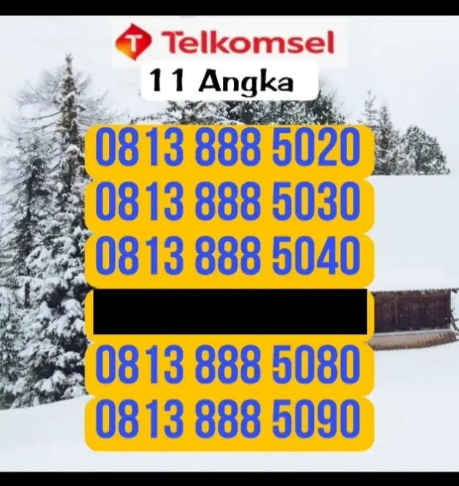 Kartu simpati 11 angka 888