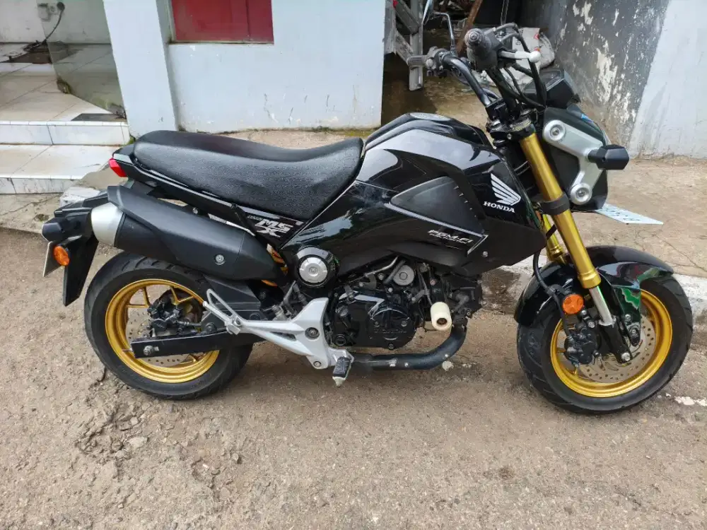 Honda MSX 125 Monkey Dax Minibike