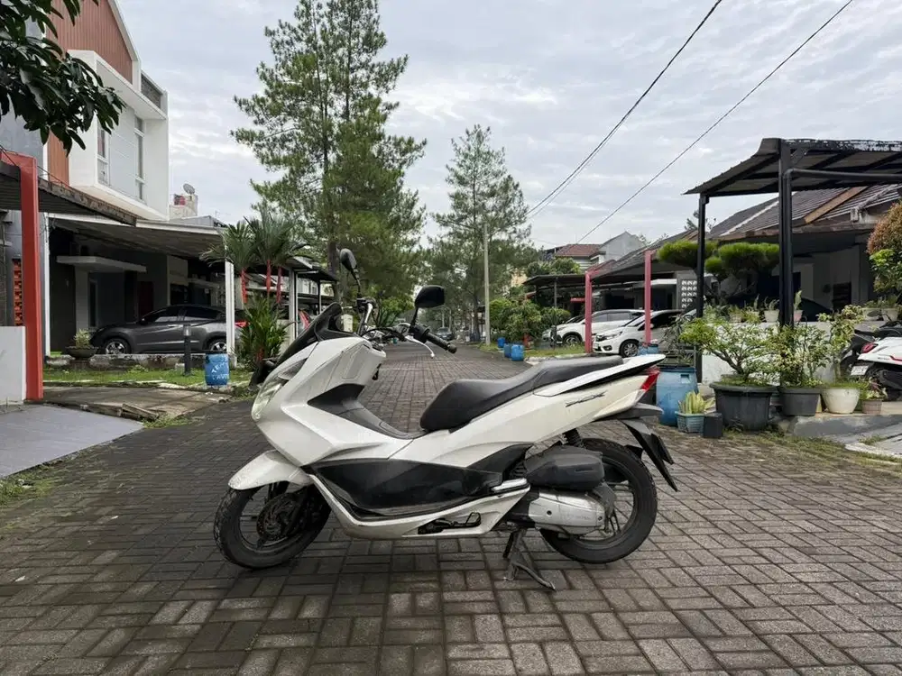 PCX 150 Build Up
