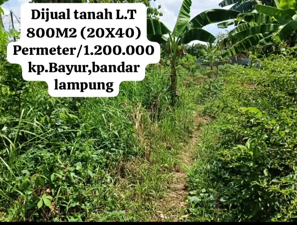 Dijual tanah murah