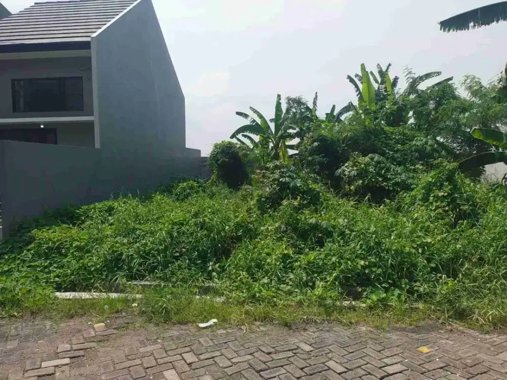 TER MURAH PALING MURAH TANAH RUNGKUT WONOREJO DEKAT RAYA MERR