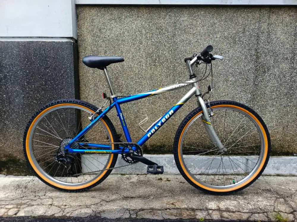 Polygon unitoga upgrade 10 speed