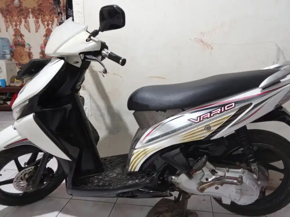 Motor Vario karbu