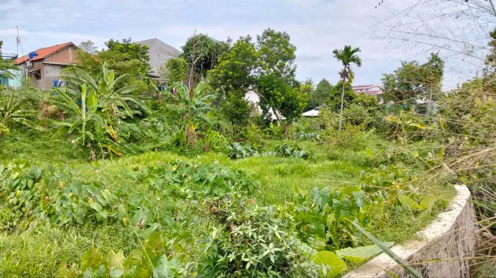 MURAH BANGET TANAH DARAT DAN EMPANG