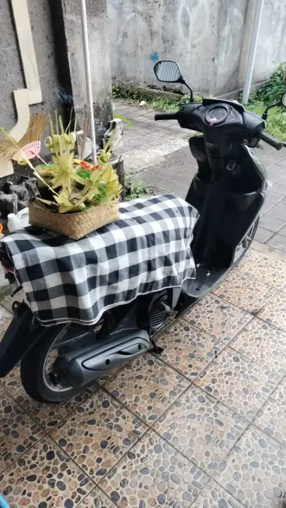 Motor Vario CW 110, mulus