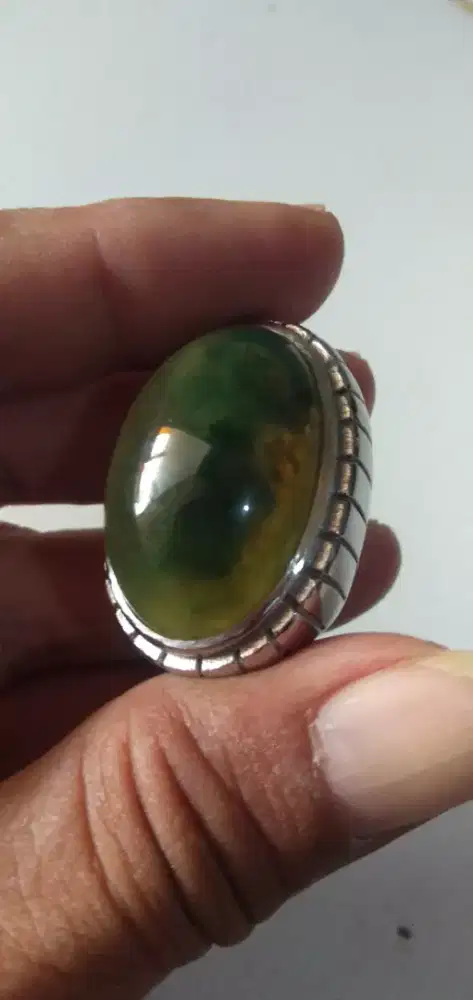 Indocrase sungai Dareh jumbo