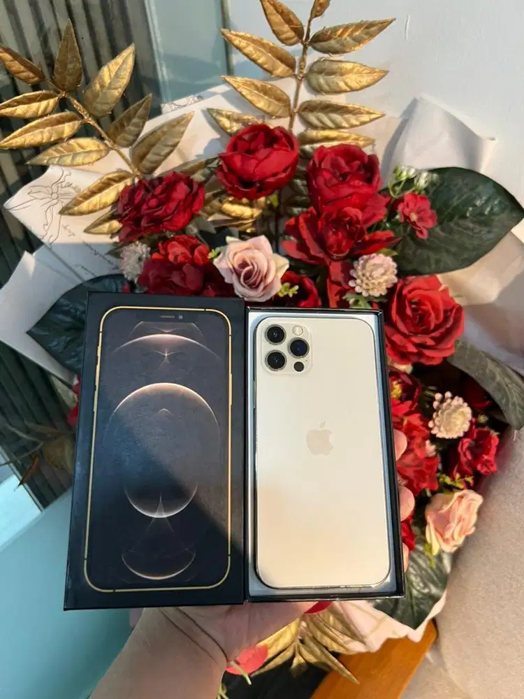 Iphone 12 Pro 256gb regist