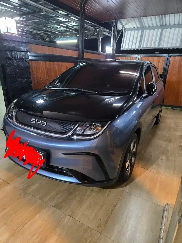 BYD Dolphin 2024 Listrik