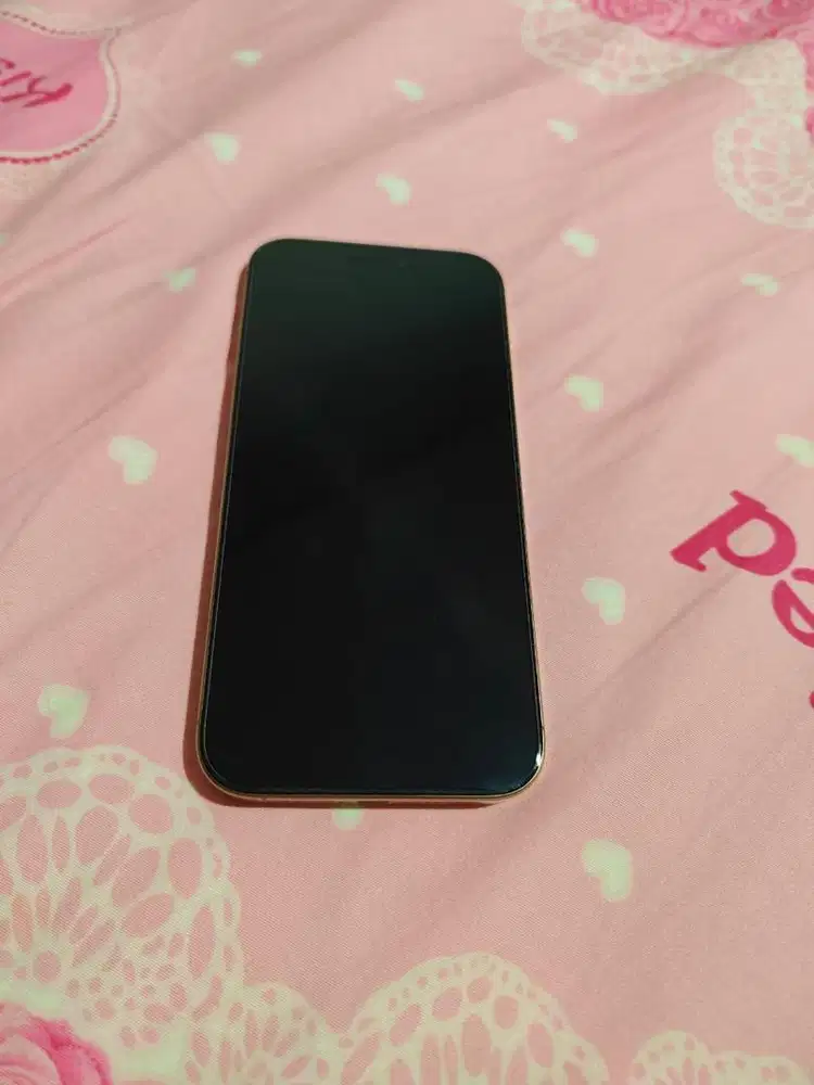 Iphone 16 pro max desert 256gb dual nano bea cukai