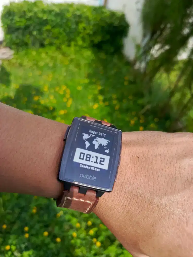 Pebble steel langka