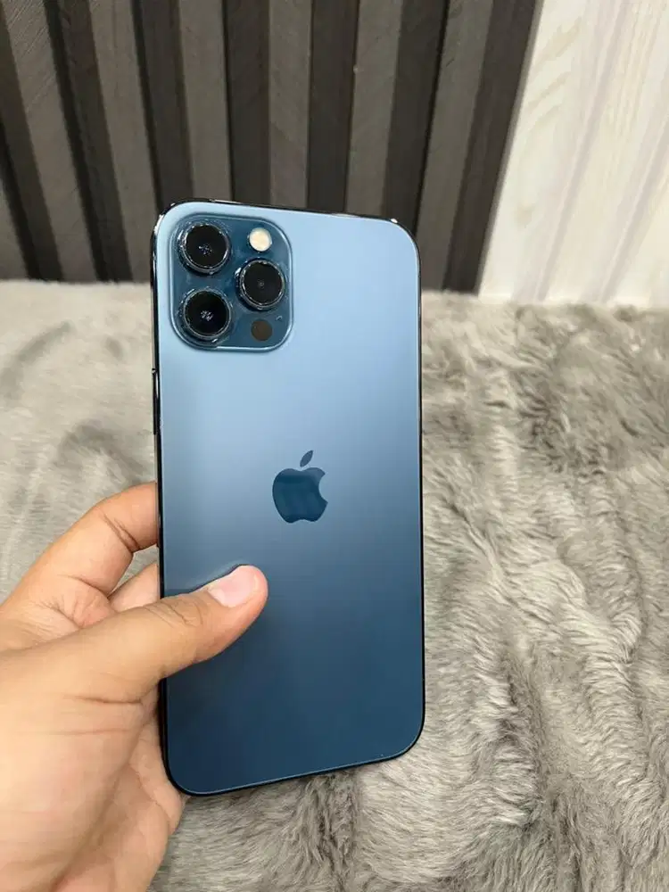 iPhone 12 promax 256gb all op