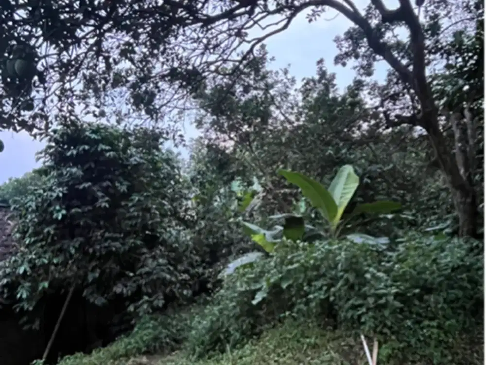 Dijual Tanah daerah Cileunyi