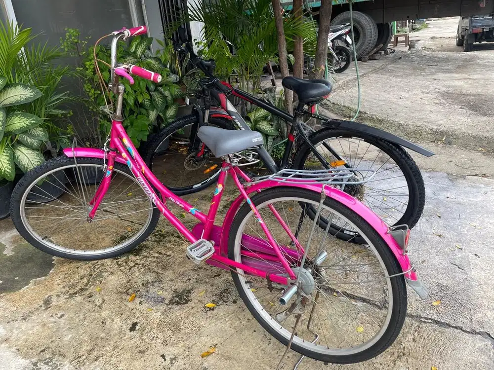 Jual sepeda pink