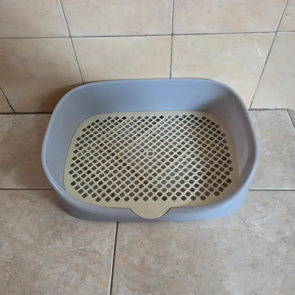 Pispot untuk bayi kucing