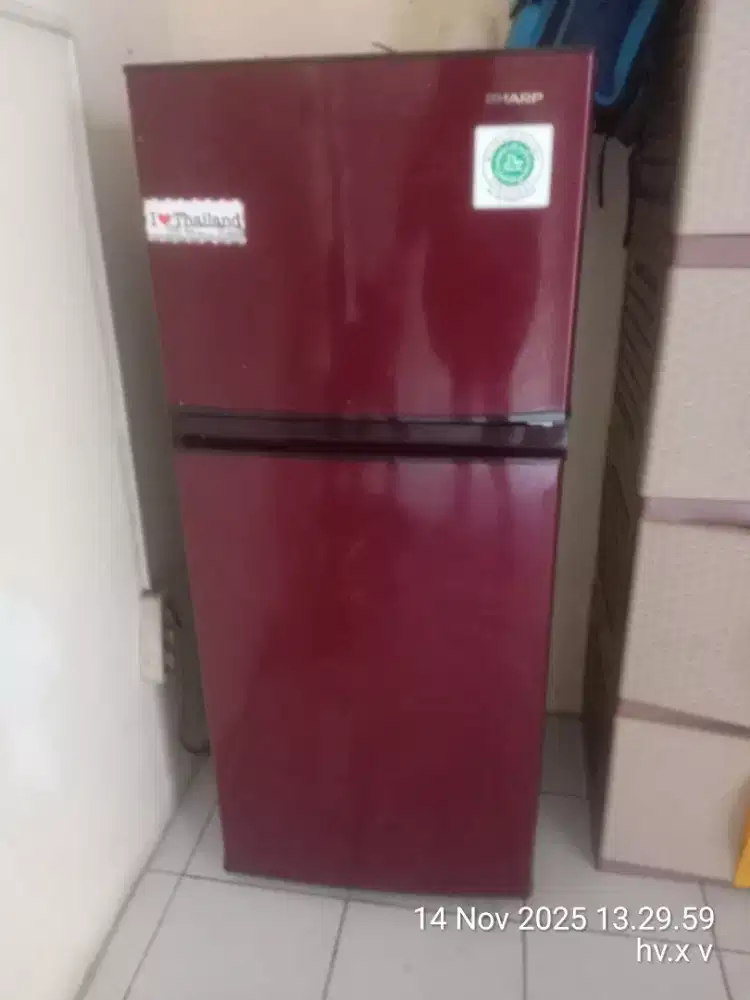 kulkas shafp 2 pintu