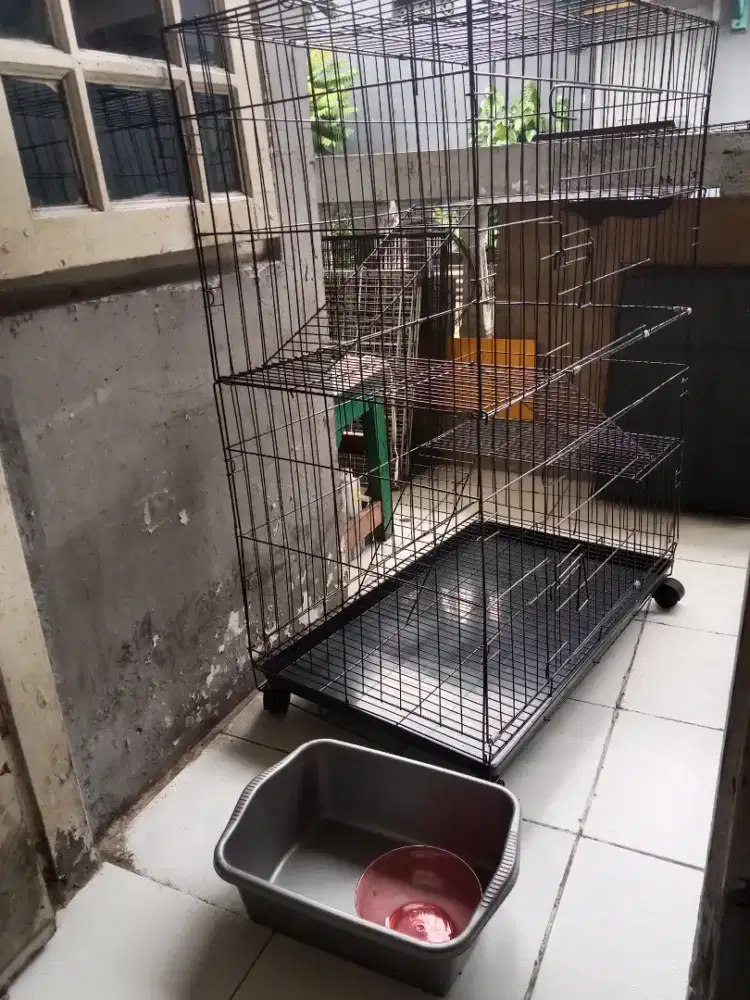 Kandang kucing tingkat besar