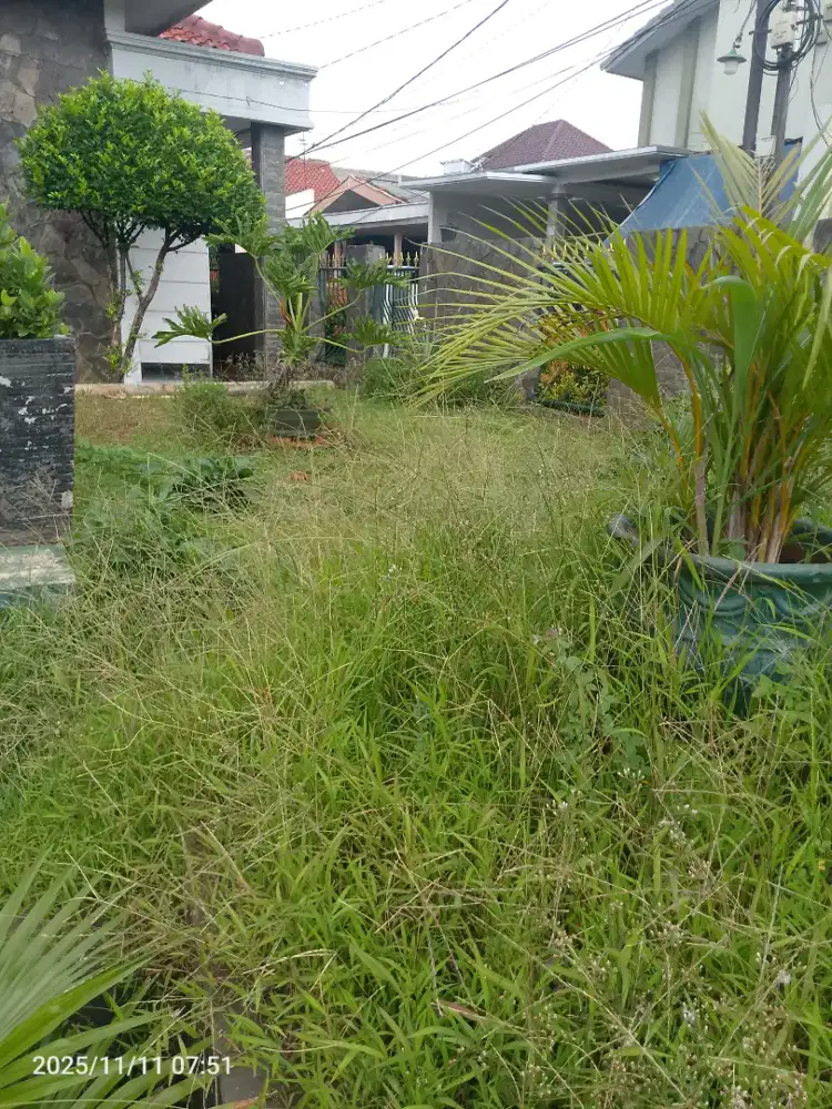 Tukang Potong Rumput  Di Bogor