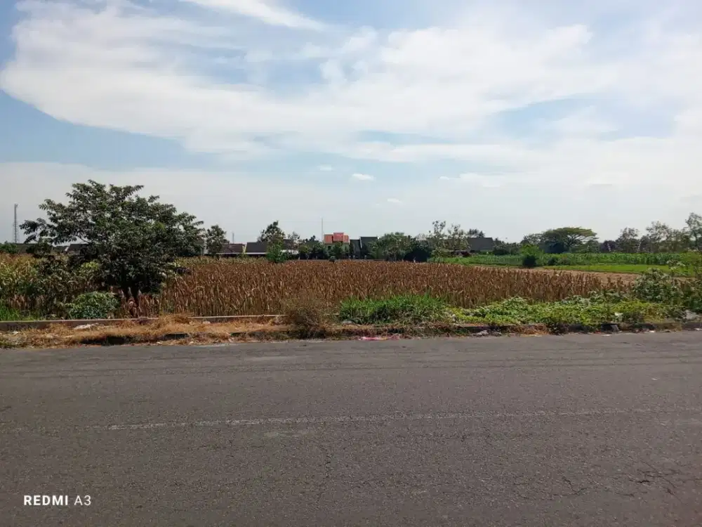 Tanah Tepi Jalan SGM Kemudo Klaten dekat Kamajaya Mart