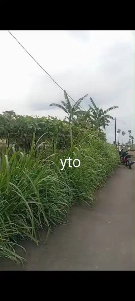 Jual tanah lokasi kemuning lt 450m harga 1,5jt/m nego