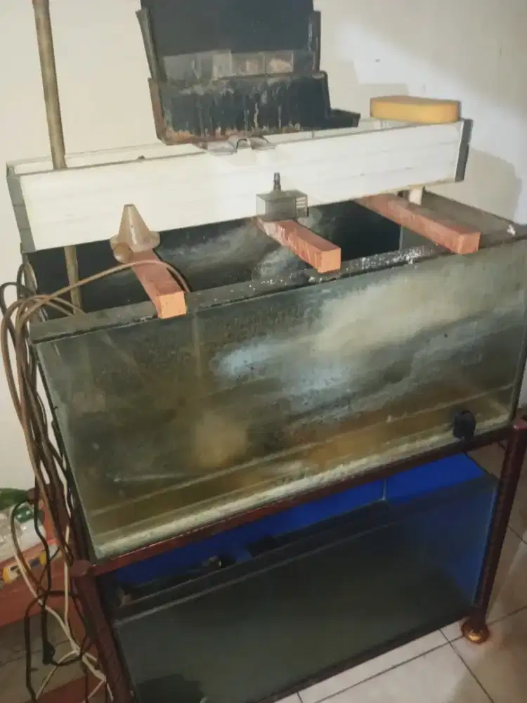 AQUARIUM 2 TINGKAT LENGKAP