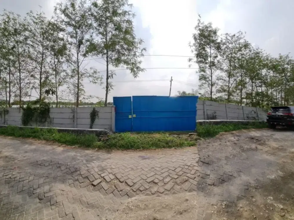 Jual Murah Turun Harga Tanah Di Cerme Gresik Jawa Timur